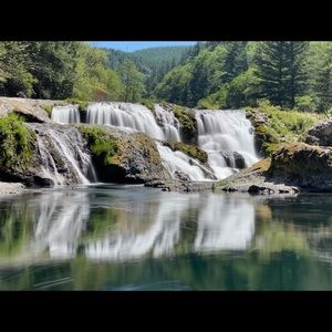 Meet your Posher, Sasha